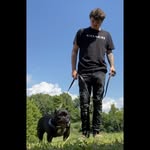 Floyd Shockley - @higherpowerlegacybullz - Instagram