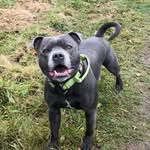 Floyd🦍 - @silverfloyd04 - Instagram