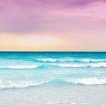 Floyd Snyder - @janereid63850785 - Instagram