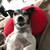Floyd Snyder - @iamfloydsnyder - TikTok
