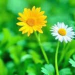 Floyd Stover - @stover_floyd - Instagram