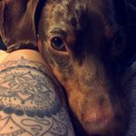 Floyd Wagner - @weaniefloyd - Instagram