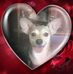 Floyd Walker - Facebook