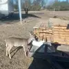 Floyd Walker - @floyd.walker3 - TikTok