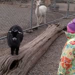Floyd Walker - @floyd.walker.5876 - Instagram