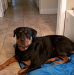 Floyd Waters - Facebook