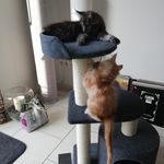 Floyd & Watson - @floydandwatson - Instagram