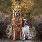 Floyd&Watson - @floydundwatson - Instagram