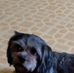 Floyd West - Facebook
