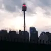 MR_shussie-aka#aussie🌏🇦🇺 - @floyd.ebsworth3 - TikTok