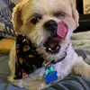 Floyd Young - @zeepzooms - TikTok