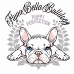 Craig - @flynnbella_bulldogz - Instagram