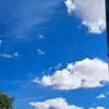 FlynnHamilton12 - @flynnhamilton12 - TikTok