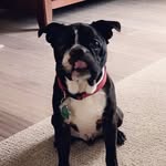 Hamilton Flynn - @hamilton_flynn - Instagram