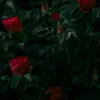 Flynn Moore - @n8risrimwjue - TikTok