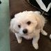 Rhonda Flynn - Facebook