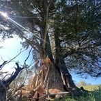 Flynn Smith - Facebook