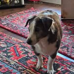 Fonda Beard - @fonda.beard - Instagram