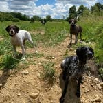 Julie Fonda-Smith - @fondu10 - Instagram