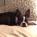 Fonda Wells - Facebook