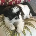 Fonda Whitehead - Facebook