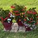 Fonda Wilson - Facebook