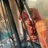 La Fonda De Wilson - @lafondadewilsonla - TikTok