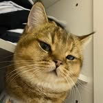 @fongchung__ - Instagram