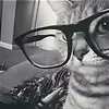 Mikafong - @eng.fong - TikTok