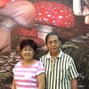 Fong Lai - @fonglai7 - TikTok