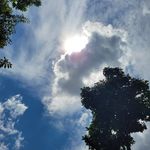Fong Lai - @fong.lai - Instagram