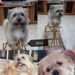 Fong Lai - @fuifong.lai - Instagram