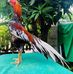 Fong Lee - Facebook