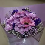 Fong Ng - @fong.ng.10 - Instagram