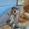 fongng - @fongngneverforget - TikTok