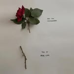 Thanh Phong - @fong.ng - Instagram
