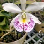 Fong Tran - @tran_phong638 - Instagram