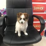 Fong Tran - @fong.tran.543 - Instagram