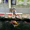 user5525744139275 - @fongtran.1990 - TikTok