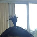 Phong Trương - @truong_fong - Instagram