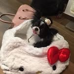 Fong Wan - @fong.wan - Instagram