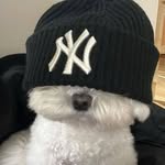 Ford Fuller - @ford_fuller - Instagram