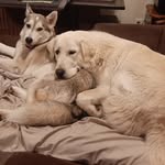 Laura Gates Ford - @lauragatesford - Instagram