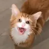 Clifford Montgomery - @clifford.montgomery - TikTok