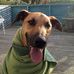 Ford Montgomery Myrgatroyd FitzGerald - Facebook