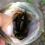 Ford Young Fishing - @bassfisher1258 - Instagram