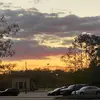TREE - @forest22adams - TikTok