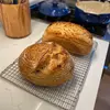 Baxter Forest Baker - @baxter.forest.bak - TikTok
