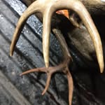 Forrest Barrett - @forrestbarrett841 - Instagram
