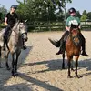 Esther Huls-Dekker - @bella.newforest - TikTok